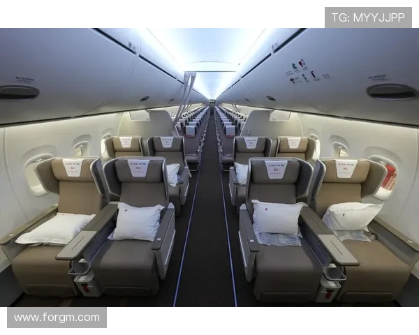 飞机客舱内饰的阻燃特性评价体系